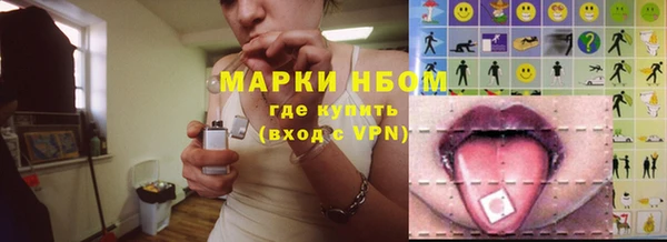 индика Верхний Тагил