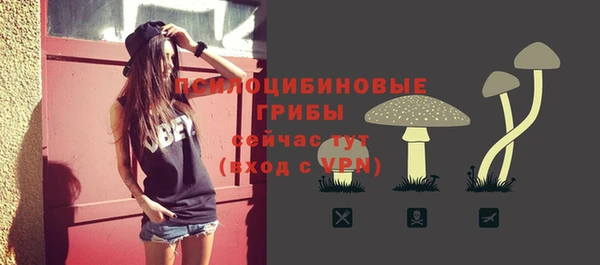 индика Верхний Тагил