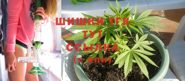 индика Верхний Тагил