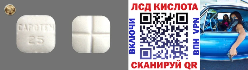 ЛСД экстази ecstasy  где купить наркоту  Калач 