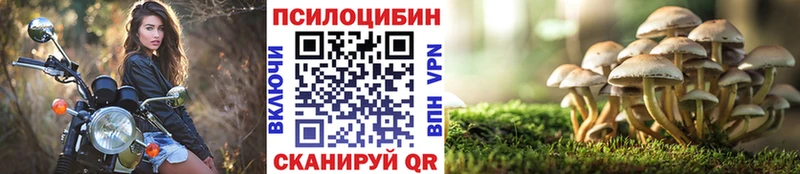 Псилоцибиновые грибы мицелий Калач