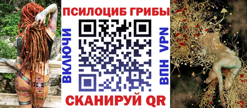 где найти наркотики  Калач  Галлюциногенные грибы Magic Shrooms 