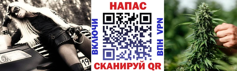 Шишки марихуана планчик наркота Калач